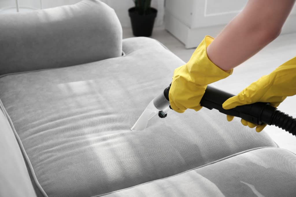 upholstery cleaning worth it Upholstery Cleaner Ogden Utah