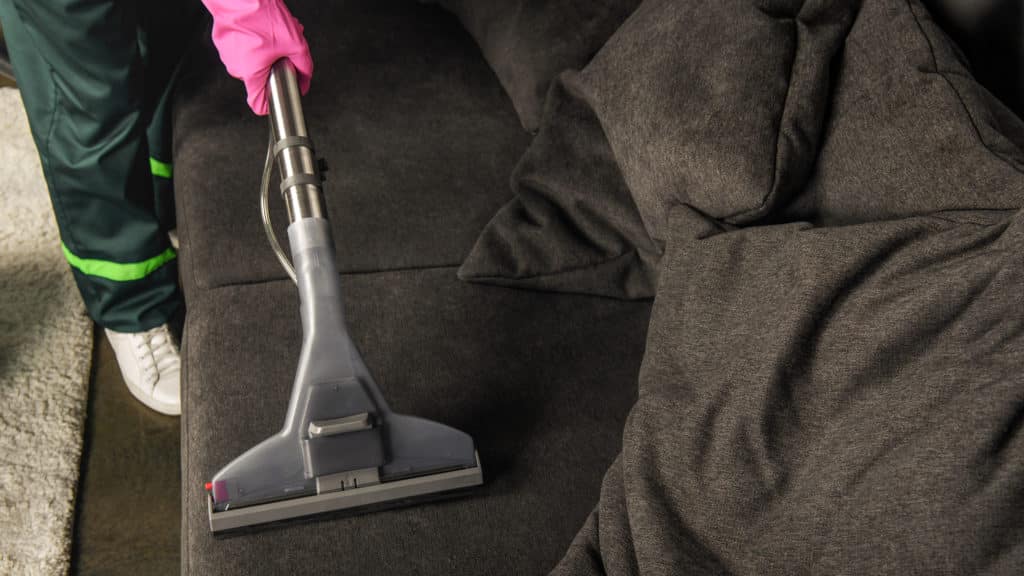 Professional Upholstery Cleaning Ogden Utah
