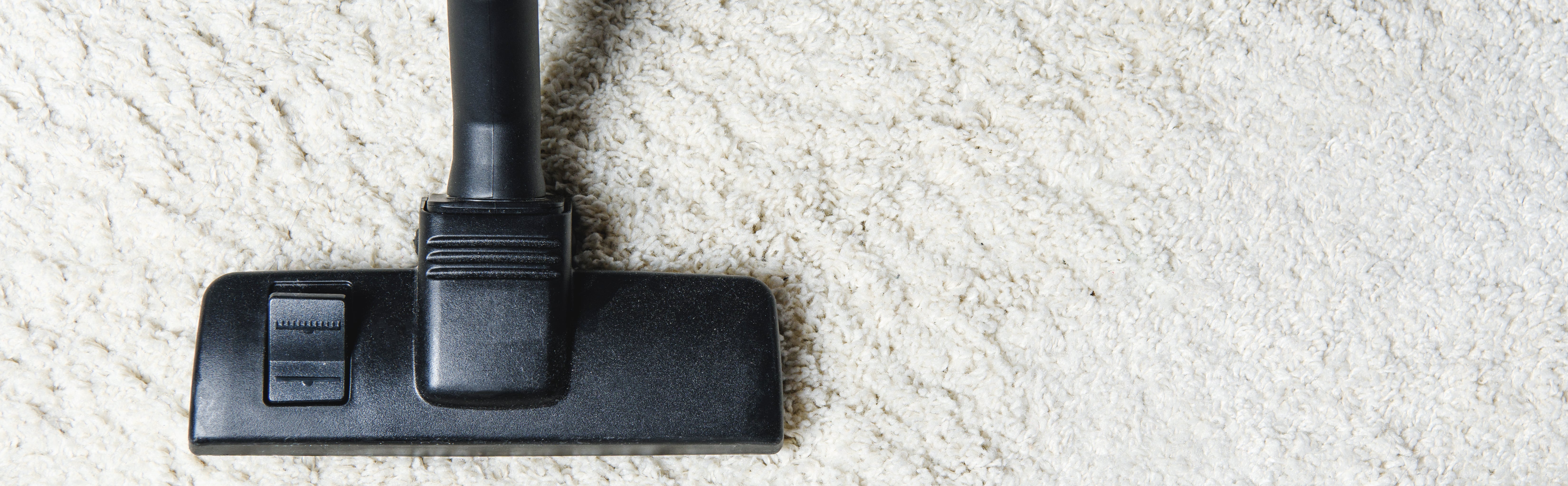 Is Professional Carpet Cleaning Expensive?
