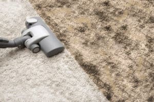 Who should i call to clean my carpets in Ogden