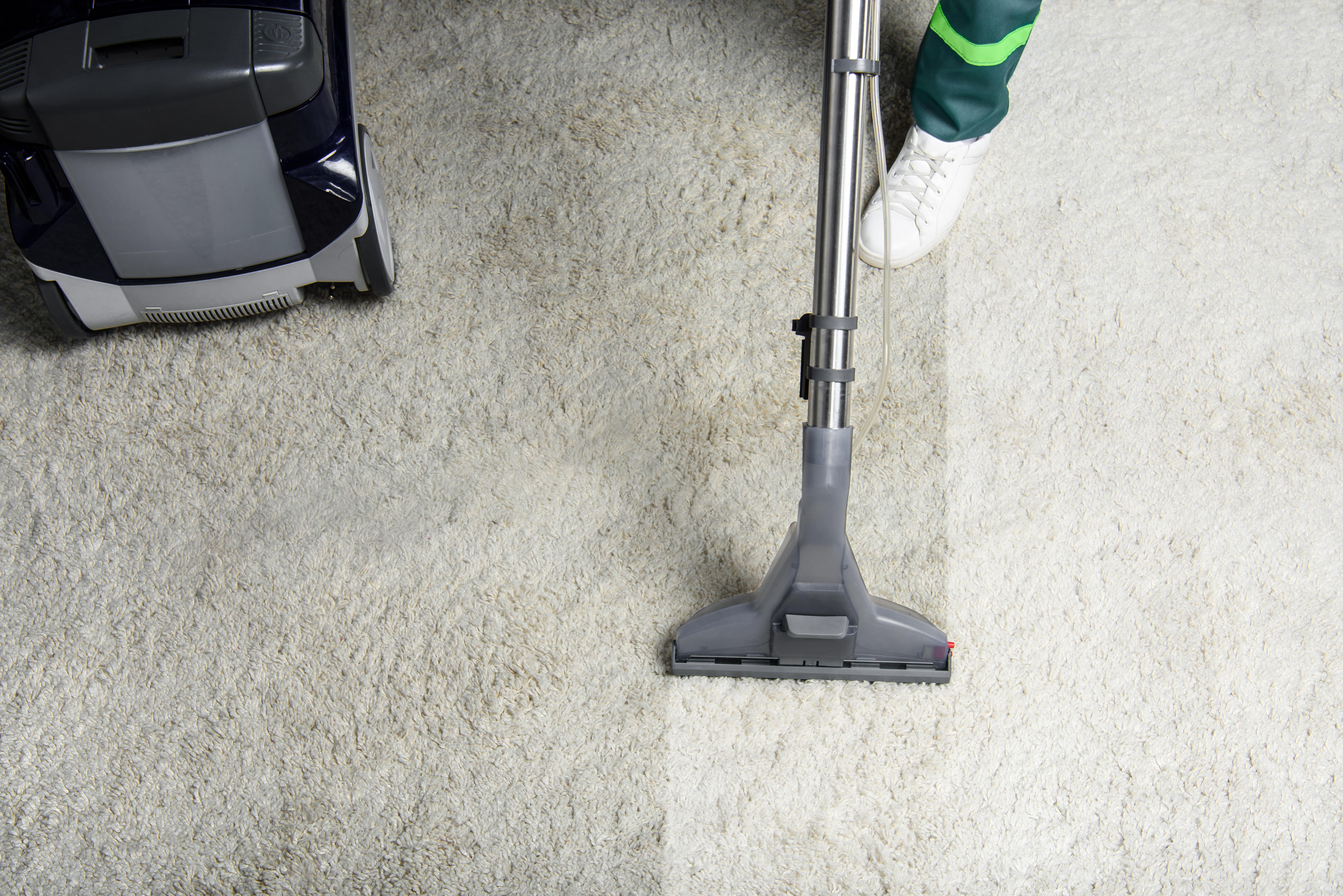 Ogden Carpet Cleaning Company