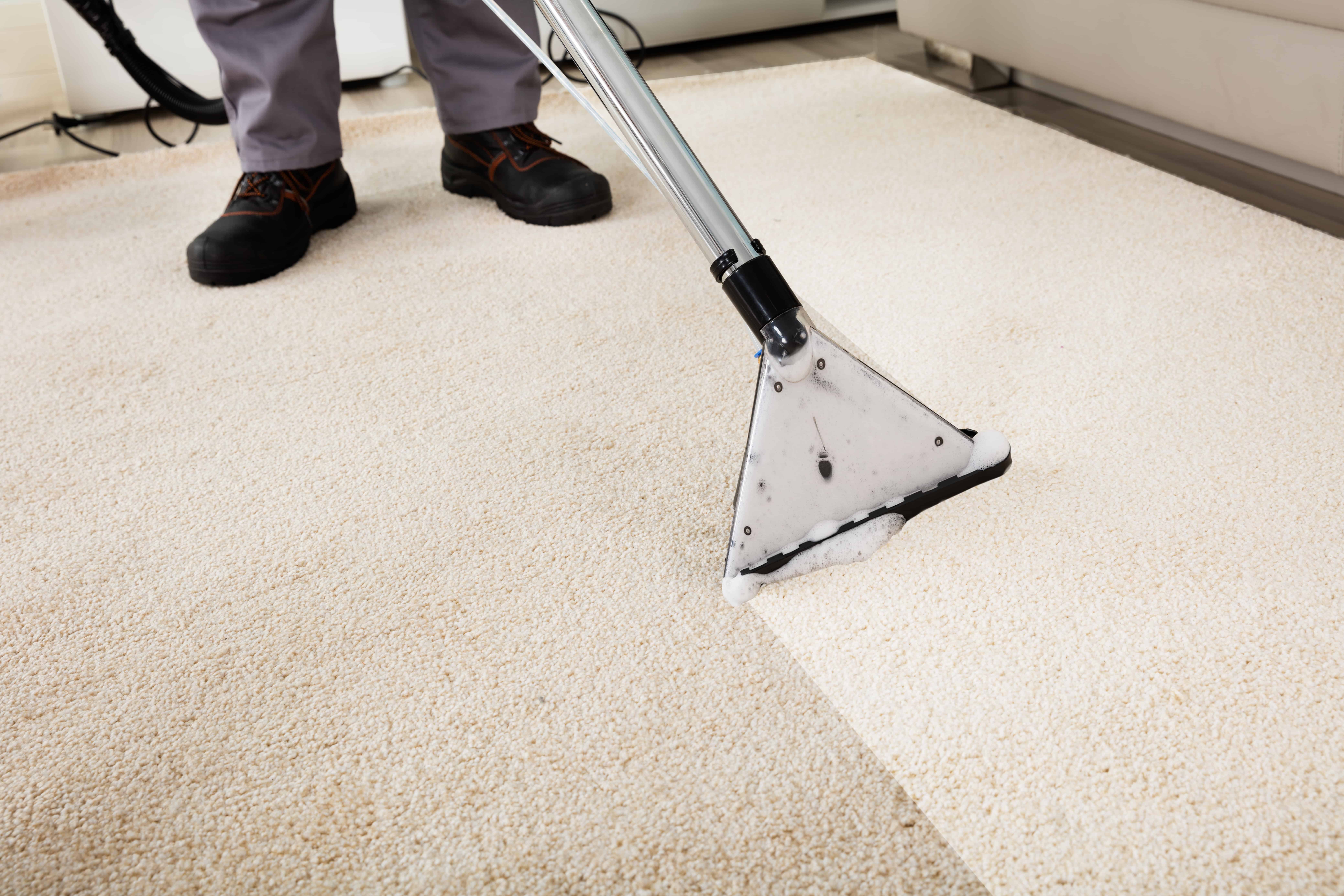 How Often Do I Need to Get My Carpets Professionally Cleaned?