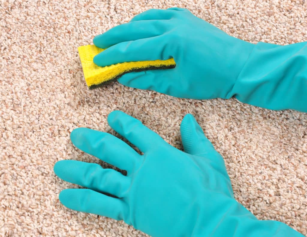 Floor Cleaning Services Utah